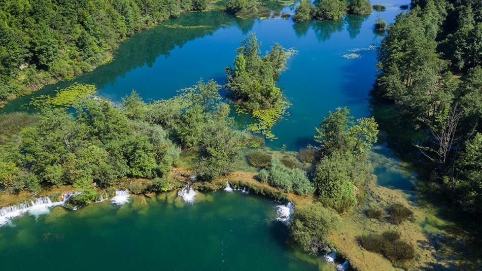 Kuca Za Odmor Zeleni Biser Villa Generalski Stol Luaran gambar